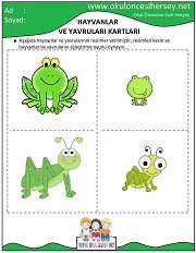 Hayvanlar ve Yavruları Eğitici Kartları